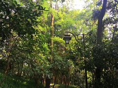 -杭州半山国家森林公园