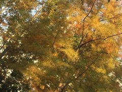 -苏州河梦清园环保主题公园