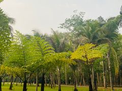 -中国科学院西双版纳热带植物园
