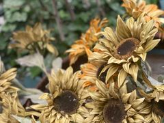 -泉乐坊步行街(烟酒特产平价超市店)