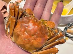 -松咖啡自助餐厅·松北香格里拉