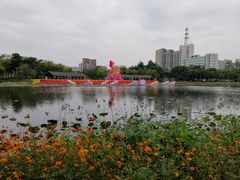 -映月湖公园