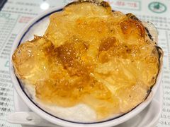 桃胶双皮奶-仁信老铺(华盖路店)