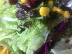 蔬菜沙拉-YAFEE雅菲·粤菜·湘菜·融合菜(魏公村店)