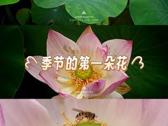-淮扬府(安定门店)