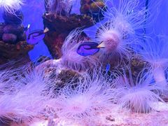 -多彩贵州城极地海洋世界