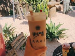 奶茶-厦门园林植物园-植物园滴水山房