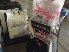 -新罗免税店(首尔总店)