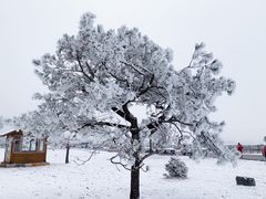 -玉龙雪山蓝月谷
