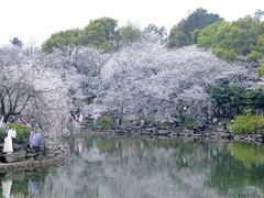 -云溪植物园