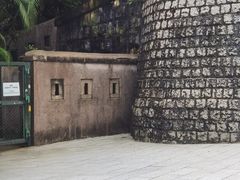 -九龙公园
