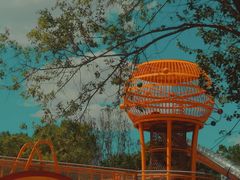 -绥化市森林植物园