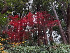 -瑞凤殿(Grave of Date Masamune)