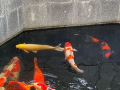 -西安市广仁寺