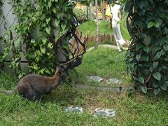-正佳雨林生态植物园