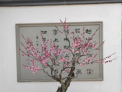-杭州植物园