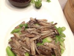 iphone_upload_pic-清水蘭軒
