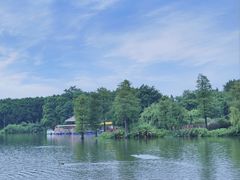 -海珠湖公园