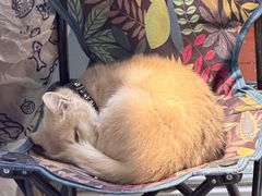 -螺世纪螺蛳粉·桂味小排档(裕德店)