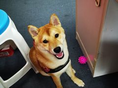 -爱乐蒙艺术·古筝 钢琴 声乐(科华校区)