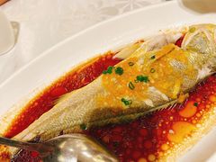 -京粤荟(海王银河科技大厦店)