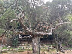 -草庵摩尼教遗址公园