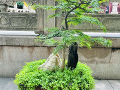 -西园戒幢律寺