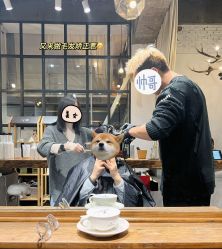-M+hair salon专业造型沙龙