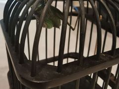 -乐山上善居·养心禅景酒店(世豪广场高铁站店)