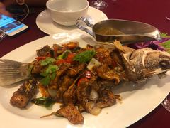 -Daddy Nimman Chiang Mai