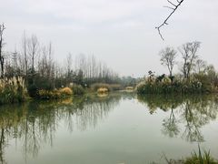 -白鹭湾湿地公园