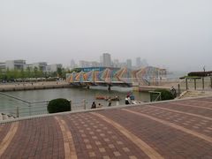 -琴岛之星摩天轮