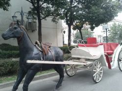 -金庭庄园酒店彩虹厅