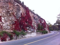 iphone_upload_pic-乌龙峡谷景区