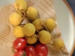 -季季山•云南野生菌火锅(上海首店)