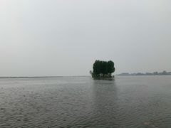-白洋淀景区