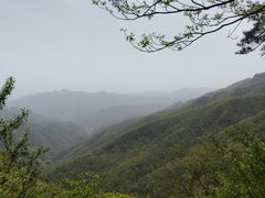 -牛背梁国家森林公园