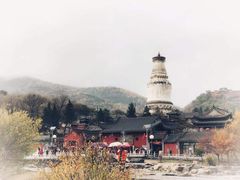 -盛德圆(五台山云龙店)