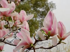 -玄武湖景区-情侣园游乐场