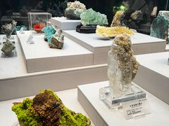 -湖南省地质博物馆