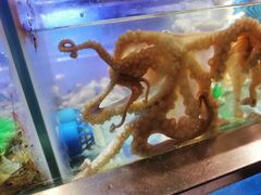 -V-ONE西雅图海鲜自助餐厅(仓山万达广场店)