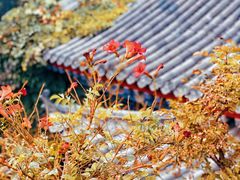 -火火咖啡&茶空间