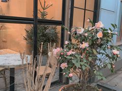 -夏朵餐厅(丁香店)