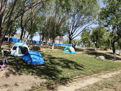 -永定河休闲森林公园