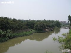 -小洲村