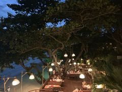 -卷心菜和避孕套餐厅(Pattaya)