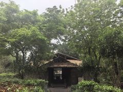 -英德宝晶宫天鹅湖茶语温泉
