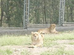 -西安秦岭野生动物园