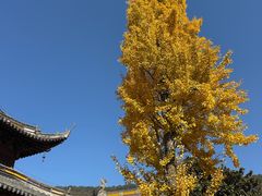 -虞山风景区