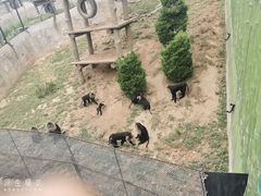 -大连森林动物园